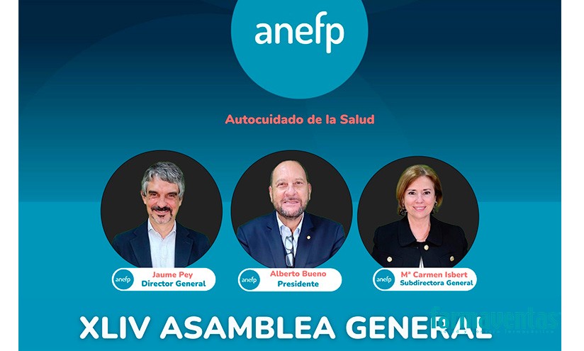 anefp_asamblea.jpg - 66.81 kB