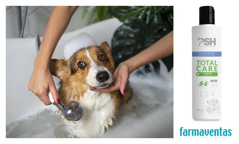 PSH lanza el champú Total Care 5 en 1: cinco beneficios en un solo producto para tu mascota
