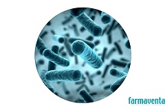 PROBACTIS Strep®, Probiótico Vías Respiratorias