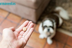 Los farmacéuticos piden que se cumpla la ley que les habilita para ser los únicos en la dispensación de los medicamentos veterinarios.